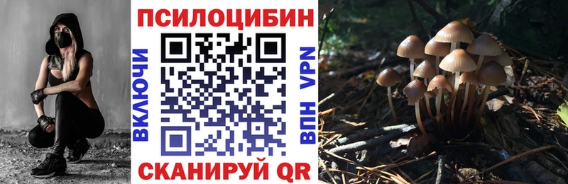 Псилоцибиновые грибы Psilocybine cubensis наркошоп Петров Вал